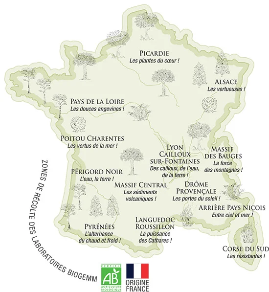 bourgeons origine france qualité et traçabilité