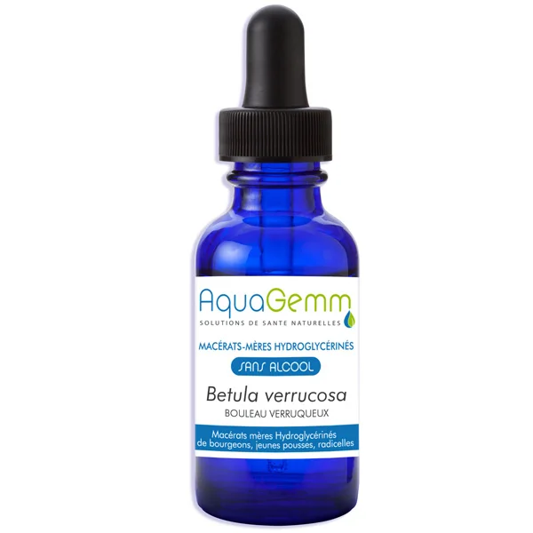 BOULEAU VERRUQUEUX AQUAGEMM, Macérât