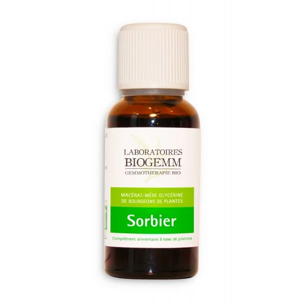 gemmotherapie sorbier macerat