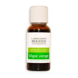gemmotherapie vigne vierge macerat