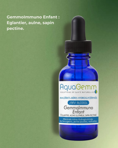 cure d'automne gemmothérapie GemmoImmuno enfant eglantier aulne sapin pectiné